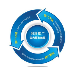 硚口区网络推广策略与农业技术服务的发展路径