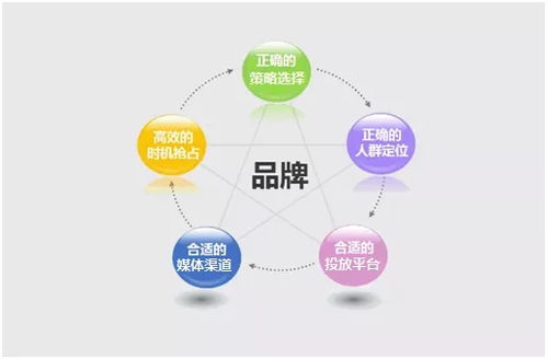 戮默科技 专业化广告投放服务，打造企业强劲流量与精准推广新引擎
