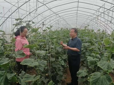 农融专企大院 激活乡村振兴新动能的科技引擎